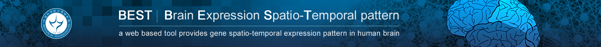 Brain Expression Spatio-Temporal pattern logo image